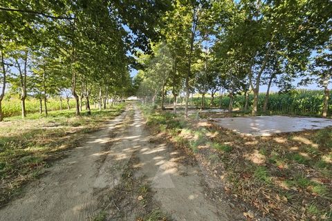 Helårsgrund i Ilhavo, Aveiro, Ilhavo - € 105.000 | Ref: 1011796/23 GL - foto 9