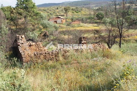 Farm i Fundao, Castelo Branco, Fundao - € 70.000 | Ref: PP4183 - foto 7