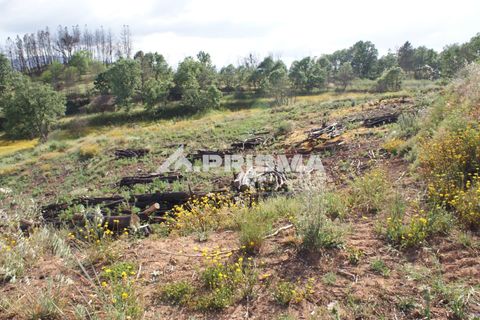 Farm i Fundao, Castelo Branco, Fundao - € 70.000 | Ref: PP4183 - foto 8