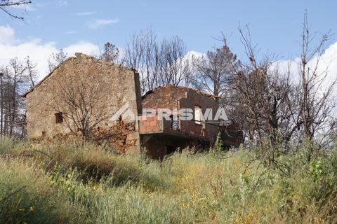 Farm i Fundao, Castelo Branco, Fundao - € 70.000 | Ref: PP4183 - foto 9