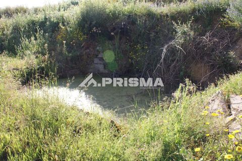 Farm i Fundao, Castelo Branco, Fundao - € 70.000 | Ref: PP4183 - foto 10