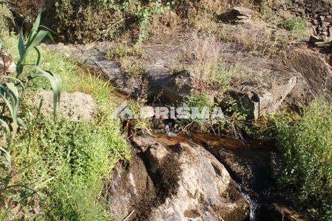 Farm i Fundao, Castelo Branco, Fundao - € 70.000 | Ref: PP4183 - foto 11