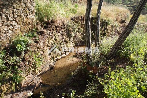 Farm i Fundao, Castelo Branco, Fundao - € 70.000 | Ref: PP4183 - foto 12