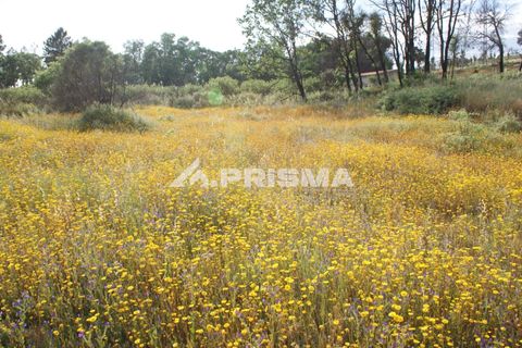 Farm i Fundao, Castelo Branco, Fundao - € 70.000 | Ref: PP4183 - foto 15