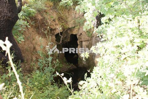 Farm i Fundao, Castelo Branco, Fundao - € 70.000 | Ref: PP4183 - foto 16