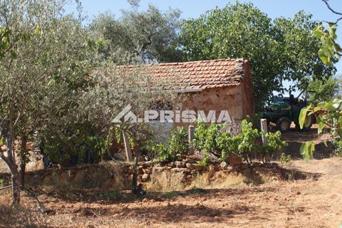 Farm i Fundao, Castelo Branco, Fundao - € 60.000 | Ref: PP4202 - foto 1