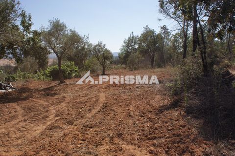 Farm i Fundao, Castelo Branco, Fundao - € 60.000 | Ref: PP4202 - foto 3