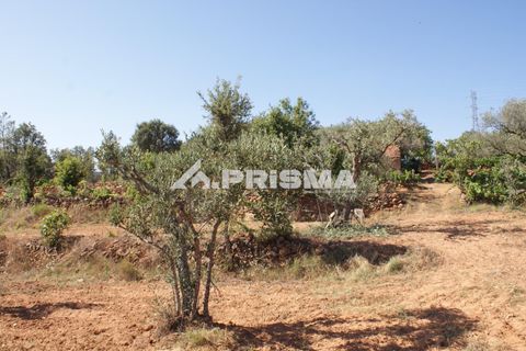 Farm i Fundao, Castelo Branco, Fundao - € 60.000 | Ref: PP4202 - foto 6