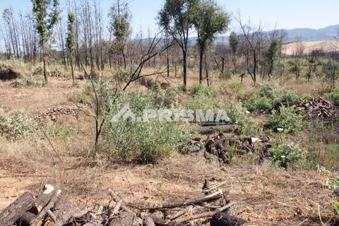 Farm i Fundao, Castelo Branco, Fundao - € 60.000 | Ref: PP4202 - foto 7