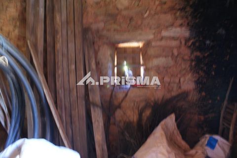 Farm i Fundao, Castelo Branco, Fundao - € 60.000 | Ref: PP4202 - foto 14