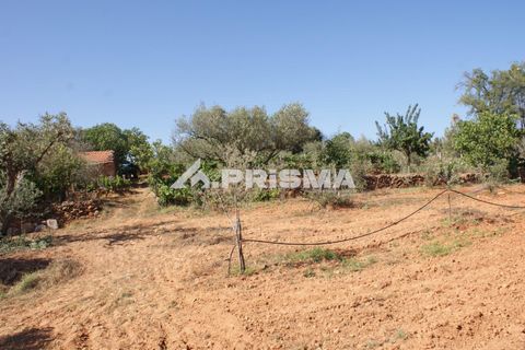Farm i Fundao, Castelo Branco, Fundao - € 60.000 | Ref: PP4202 - foto 19