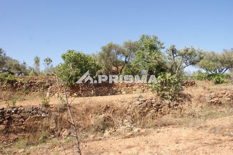 Farm i Fundao, Castelo Branco, Fundao - € 60.000 | Ref: PP4202 - foto 21