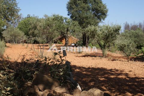 Farm i Fundao, Castelo Branco, Fundao - € 60.000 | Ref: PP4202 - foto 24