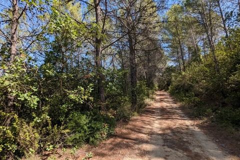 Terra a Carcès, Var, Carcès - € 7.000 | Ref: 3436 - foto 4