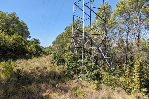 Terra a Carcès, Var, Carcès - € 7.000 | Ref: 3436 - foto 5