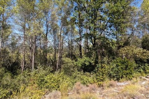 Terra a Carcès, Var, Carcès - € 7.000 | Ref: 3436 - foto 6
