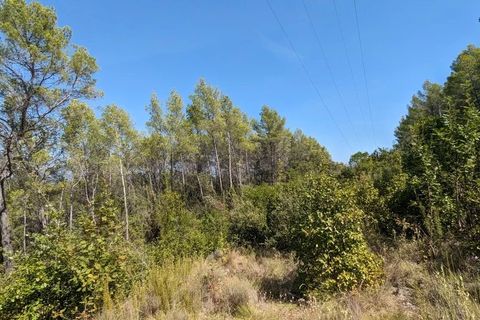 Terra a Carcès, Var, Carcès - € 7.000 | Ref: 3436 - foto 2