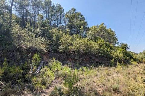 Terra a Carcès, Var, Carcès - € 7.000 | Ref: 3436 - foto 7