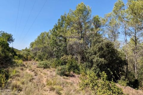 Terra a Carcès, Var, Carcès - € 7.000 | Ref: 3436 - foto 3