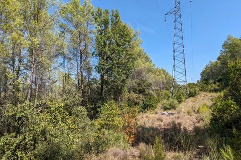 Terra a Carcès, Var, Carcès - € 7.000 | Ref: 3436 - foto 8