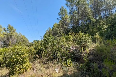 Terra a Carcès, Var, Carcès - € 7.000 | Ref: 3436 - foto 9