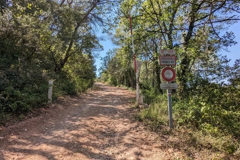 Terra a Carcès, Var, Carcès - € 7.000 | Ref: 3436 - foto 10