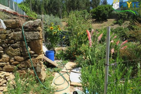 Villa a Gois, Coimbra, Gois - € 60.000 | Ref: PM26 - foto 15