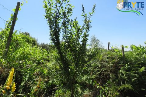 Villa a Gois, Coimbra, Gois - € 60.000 | Ref: PM26 - foto 17