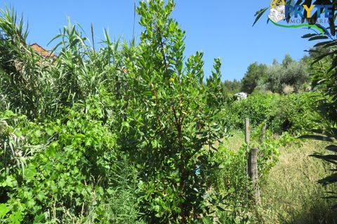 Villa a Gois, Coimbra, Gois - € 60.000 | Ref: PM26 - foto 19
