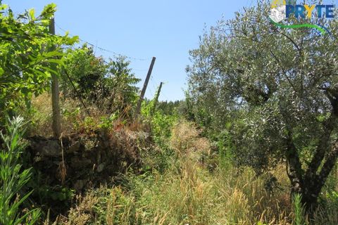 Villa a Gois, Coimbra, Gois - € 60.000 | Ref: PM26 - foto 20