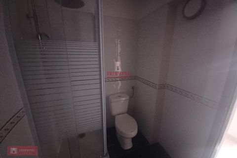 Villa i Leiria, Leiria, Leiria - € 199.900 | Ref: TPH221-36 - foto 20
