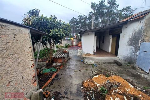 Villa i Pataias, Leiria, Pataias - € 85.000 | Ref: TPH221-30 - foto 3