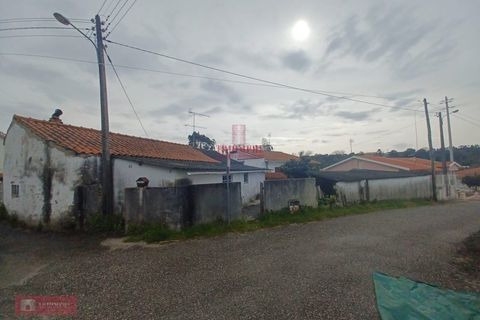 Villa i Pataias, Leiria, Pataias - € 85.000 | Ref: TPH221-30 - foto 7