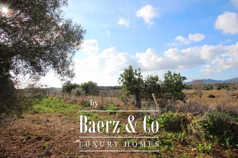 Villa a Cala Murada, Mallorca, Cala Murada - € 1.295.000 | Ref: V582 - foto 3