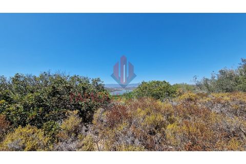 Helårsgrund i Estombar, Faro, Estombar - € 75.000 | Ref: 228/2023 - foto 22