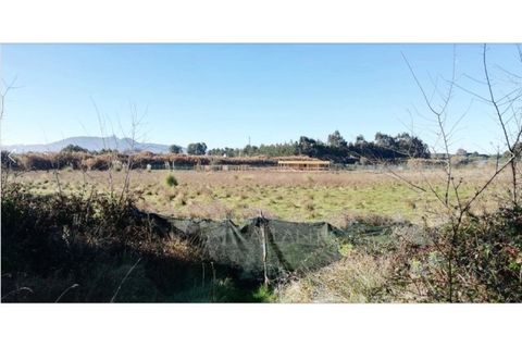Helårsgrund i Sintra, Lisbon, Sintra - € 700.000 | Ref: SÒL_735 - foto 4