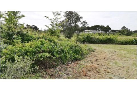 Helårsgrund i Sintra, Lisbon, Sintra - € 700.000 | Ref: SÒL_735 - foto 5