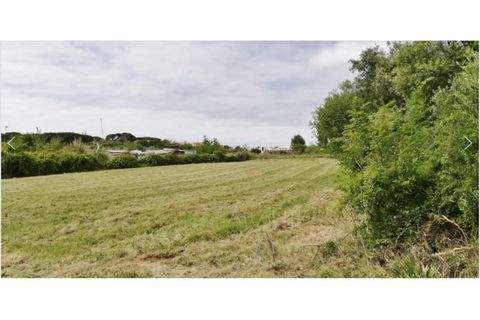 Helårsgrund i Sintra, Lisbon, Sintra - € 700.000 | Ref: SÒL_735 - foto 6