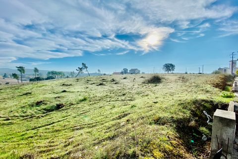 Helårsgrund i Tomar, Santarem, Tomar - € 125.000 | Ref: VCP180/23 - foto 1