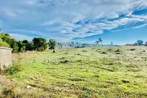 Helårsgrund i Tomar, Santarem, Tomar - € 125.000 | Ref: VCP180/23 - foto 4