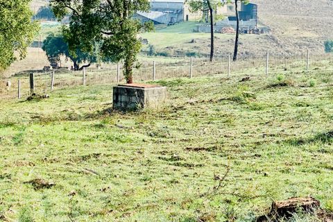Helårsgrund i Tomar, Santarem, Tomar - € 125.000 | Ref: VCP180/23 - foto 5