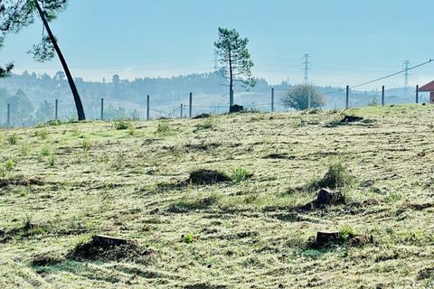 Helårsgrund i Tomar, Santarem, Tomar - € 125.000 | Ref: VCP180/23 - foto 6