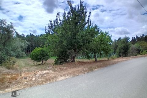 Helårsgrund i Pombal, Leiria, Pombal - € 22.000 | Ref: 706/2023 - foto 2