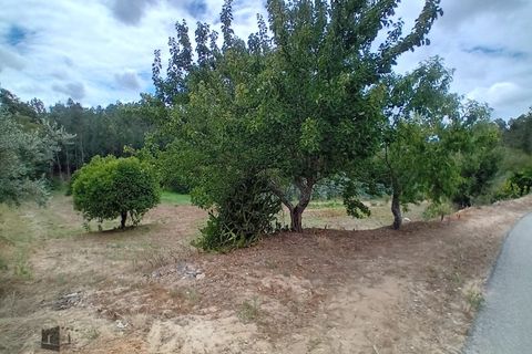 Helårsgrund i Pombal, Leiria, Pombal - € 22.000 | Ref: 706/2023 - foto 3