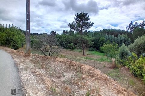 Helårsgrund i Pombal, Leiria, Pombal - € 22.000 | Ref: 706/2023 - foto 4