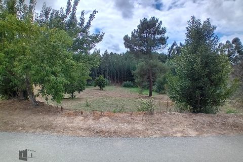 Helårsgrund i Pombal, Leiria, Pombal - € 22.000 | Ref: 706/2023 - foto 5