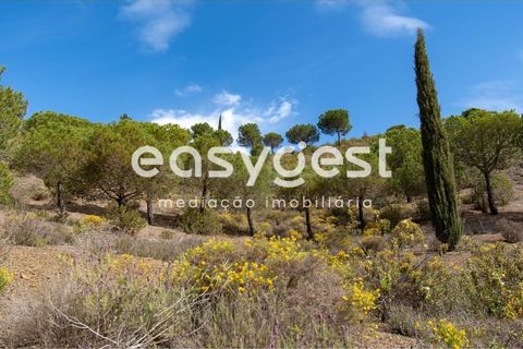 Helårsgrund i Odeleite, Faro, Odeleite - € 650.000 | Ref: AL93087VR - foto 5