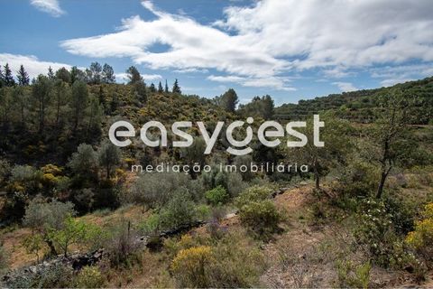 Helårsgrund i Odeleite, Faro, Odeleite - € 650.000 | Ref: AL93087VR - foto 8