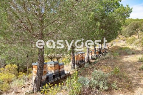 Helårsgrund i Odeleite, Faro, Odeleite - € 650.000 | Ref: AL93087VR - foto 10