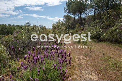 Helårsgrund i Odeleite, Faro, Odeleite - € 650.000 | Ref: AL93087VR - foto 11
